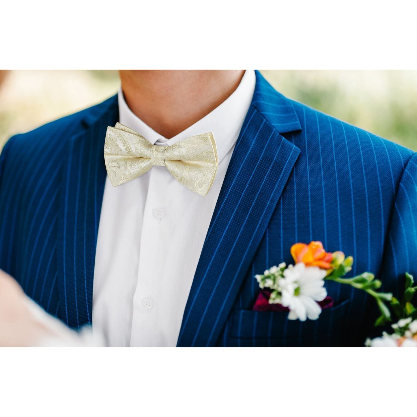 Hisdern Champagne Paisley Pre-Tied Bow Tie Set for Wedding