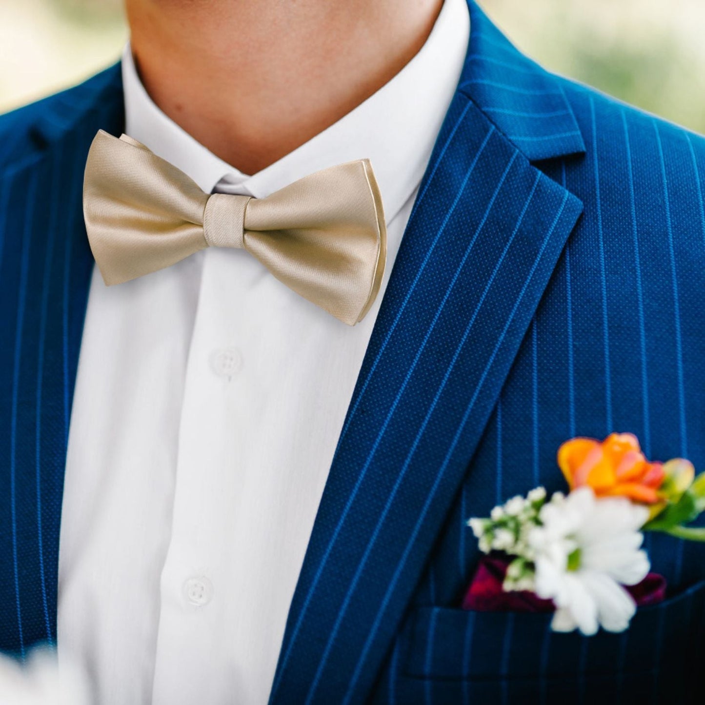 Hisdern Champagne Solid Pre-Tied Bow Tie Accessories Set For Evening Wear