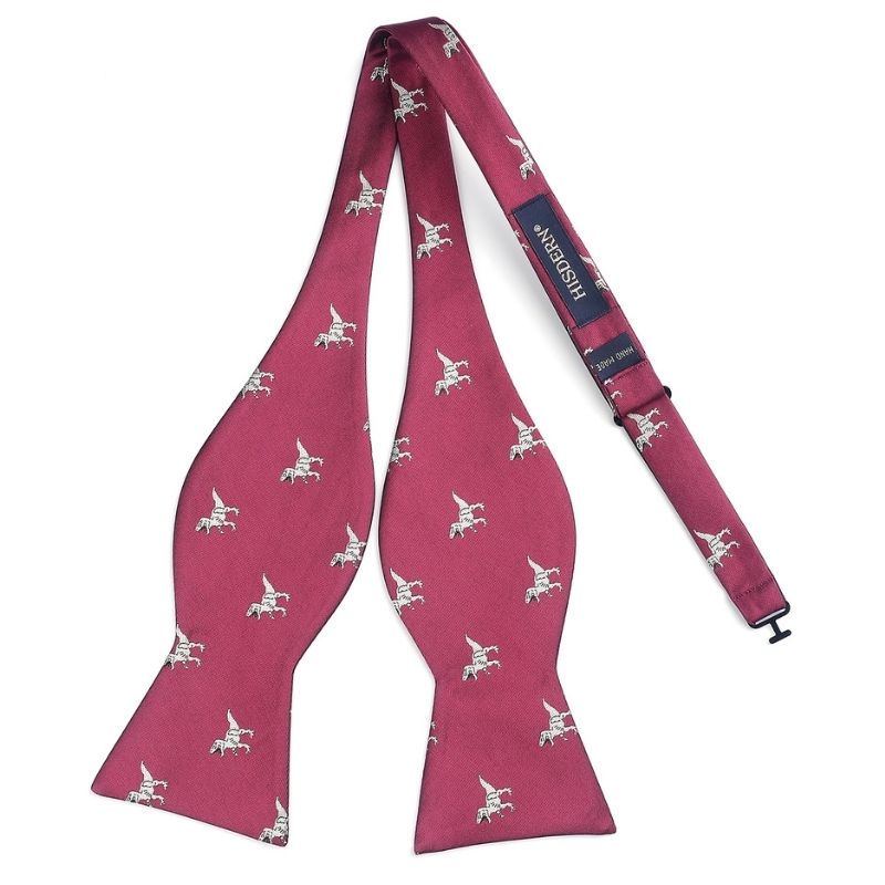 Hisdern Dinasour Burgundy Animal Bow Tie Accessories Set for Party