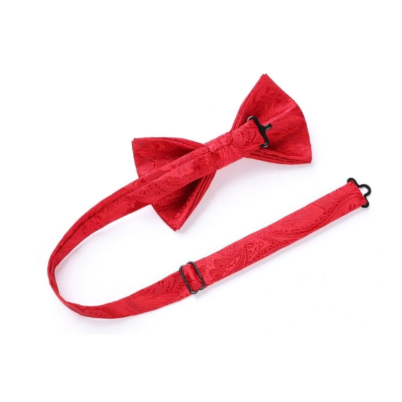 Hisdern Red Paisley Pre-Tied Bow Tie Set for Wedding