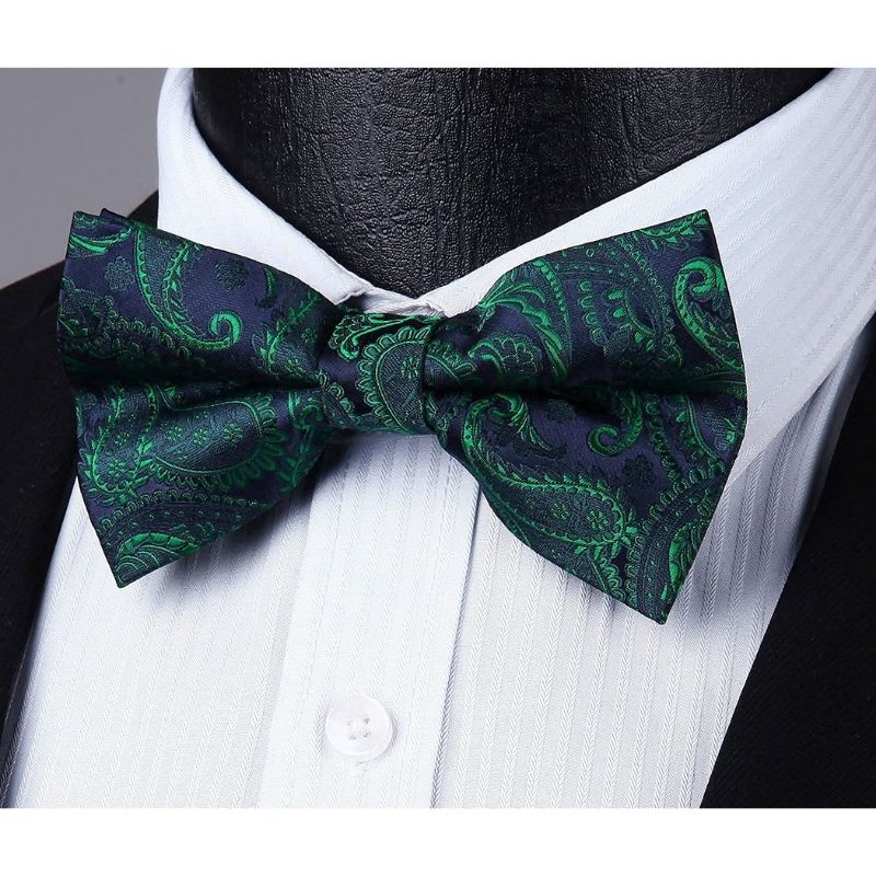 Hisdern Vintage Green Navy Paisley Pre-Tied Bow Tie Set for Wedding