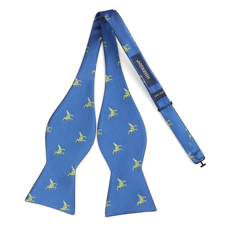 Hisdern Dinasour Blue Animal Bow Tie Accessories Set for Party