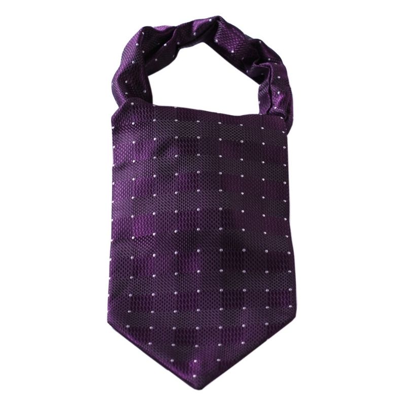 Hisdern Purple Checkered Men’s Neckwear for Casual Style