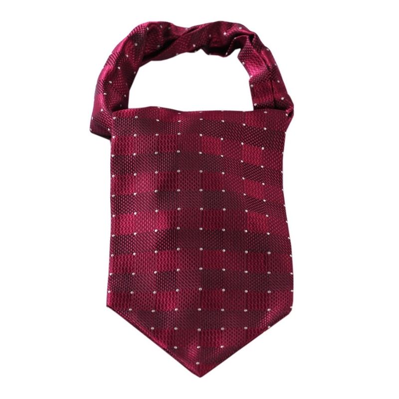 Hisdern Burgundy Checkered Men’s Neckwear for Casual Style