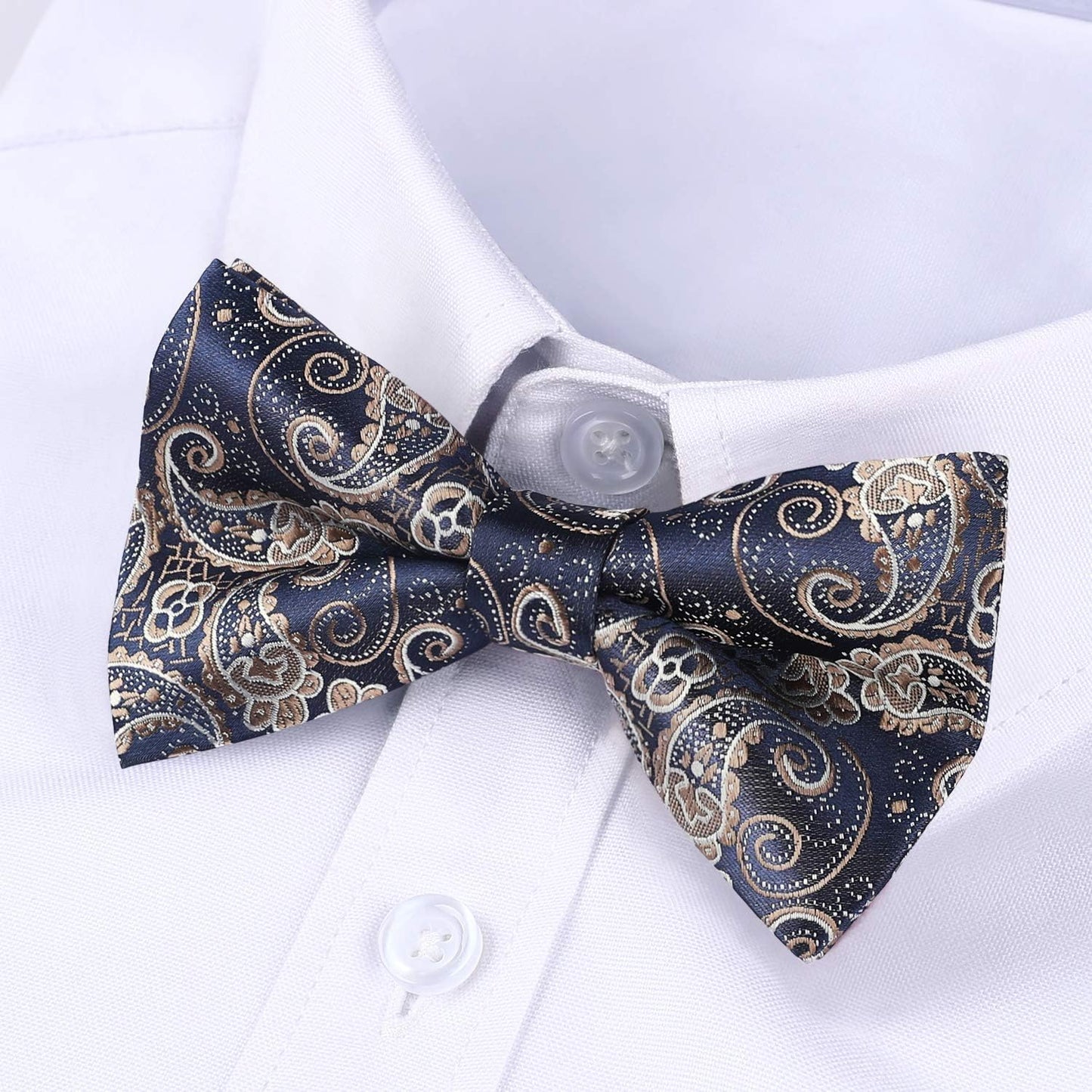 Hisdern Vintage Blue Green Paisley Pre-Tied Bow Tie for Wedding