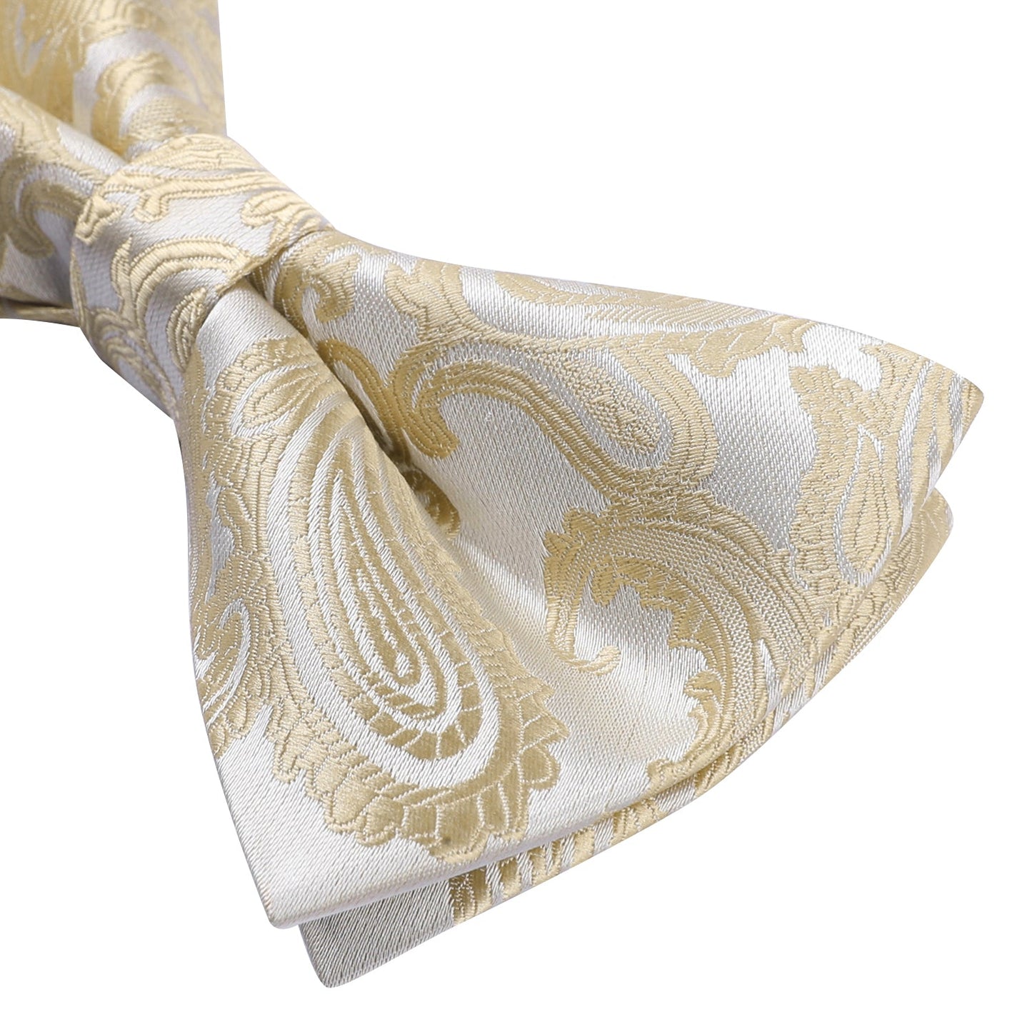 Hisdern Champagne Paisley Pre-Tied Bow Tie Handkerchief with Cufflinks