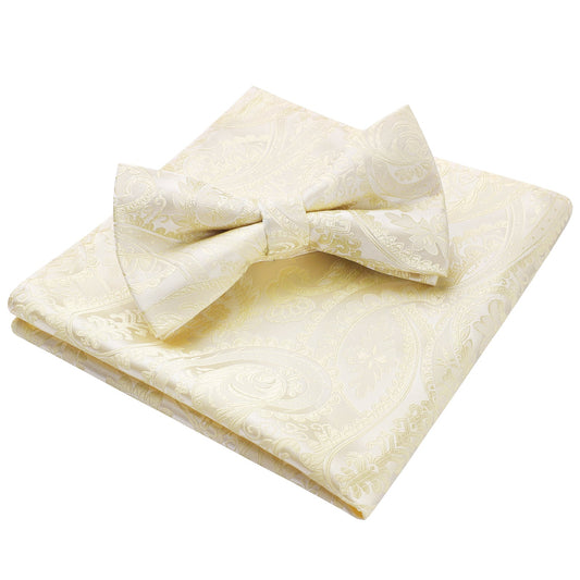 Hisdern Champagne Paisley Pre-Tied Bow Tie Set for Wedding